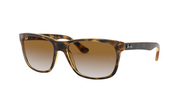 Rayban 4181