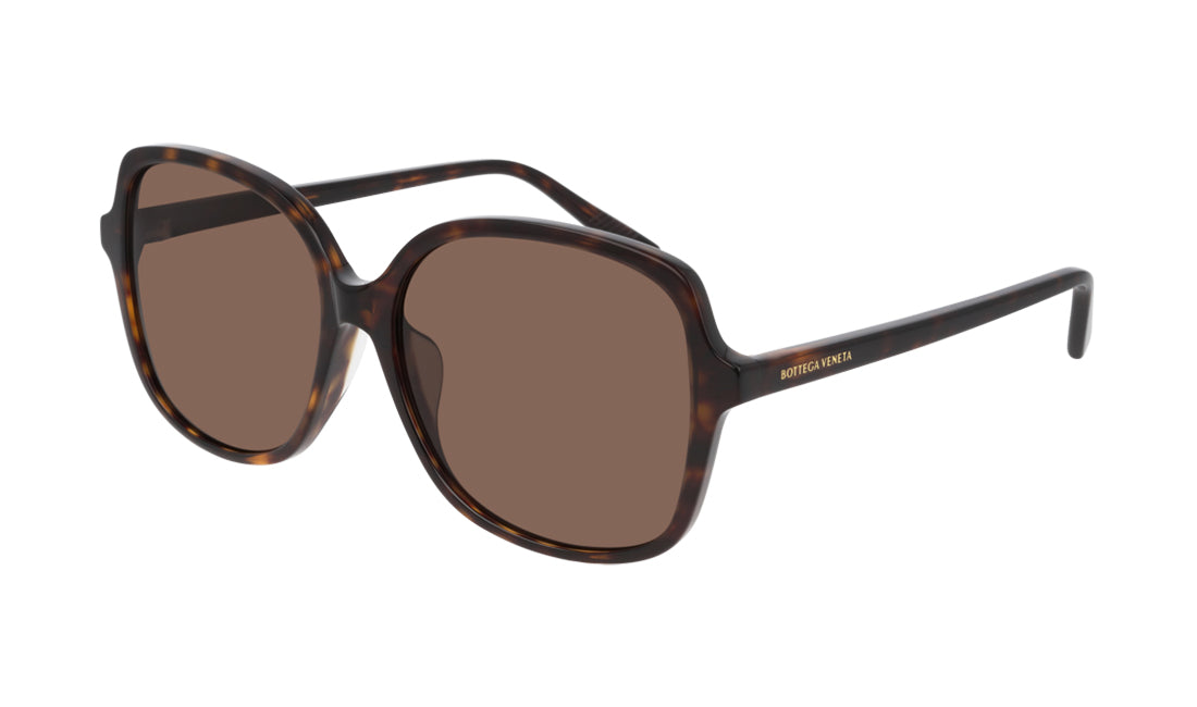 Sunglasses Bottega Veneta 1053SA Bottega Veneta, D Frame, Havana, Large, Non-Polarized, Plastic, Prescription, Sunglasses, Womens